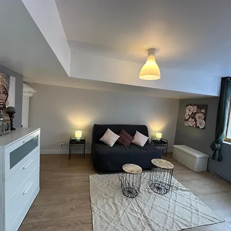 Maison Lilloise 3 شقة ليل