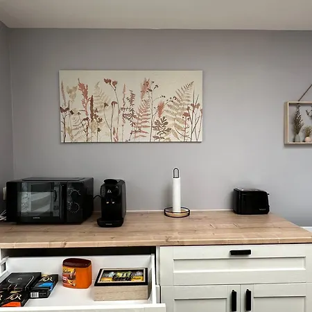 شقة Maison Lilloise 3