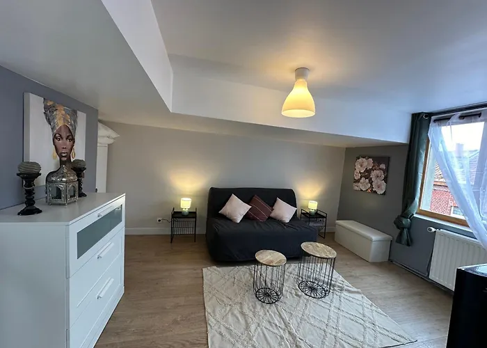 Maison Lilloise 3 Apartment Lille