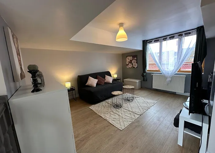 Apartment Maison Lilloise 3 *